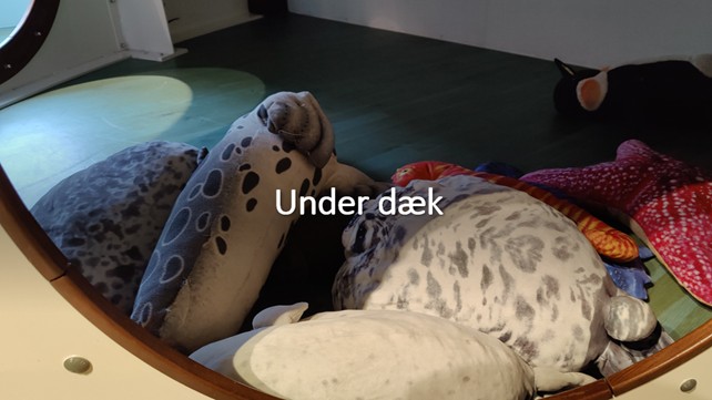 Under dæk